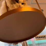 ヒメ日記 2026/03/05 14:06 投稿 愛沢 涼夏 30代40代50代と遊ぶなら博多人妻専科24時