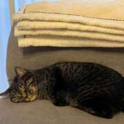 ヒメ日記 2026/03/06 23:17 投稿 愛沢 涼夏 30代40代50代と遊ぶなら博多人妻専科24時