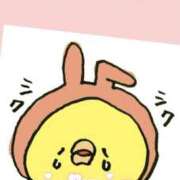 ヒメ日記 2025/11/19 14:23 投稿 きずな若奥 未熟な若奥