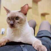 ヒメ日記 2026/01/30 23:09 投稿 野風 変態貴族 五反田店