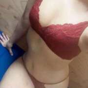 ヒメ日記 2025/11/12 19:30 投稿 せいな つまみぐいイケちゃいますよ！