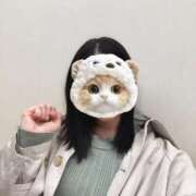 ヒメ日記 2025/11/03 21:01 投稿 トモ マテリアル