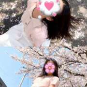 ヒメ日記 2026/04/10 12:01 投稿 トモ マテリアル