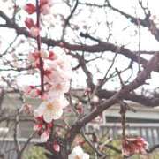 すずな 綺麗な 完全技術系性感マッサージ レジェンド