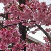 ヒメ日記 2026/03/27 20:16 投稿 すずな 完全技術系性感マッサージ レジェンド