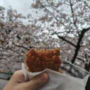 ヒメ日記 2026/04/01 12:22 投稿 すずな 完全技術系性感マッサージ レジェンド