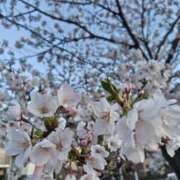 ヒメ日記 2026/04/03 12:14 投稿 すずな 完全技術系性感マッサージ レジェンド