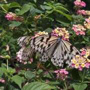 ヒメ日記 2026/04/19 13:37 投稿 すずな 完全技術系性感マッサージ レジェンド