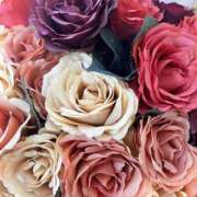 ヒメ日記 2025/12/01 15:42 投稿 海音-かいね- 人妻倶楽部 花椿北上店