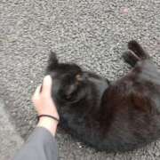 ヒメ日記 2025/11/07 16:51 投稿 ゆいか 千葉サンキュー