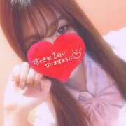 ヒメ日記 2025/11/14 12:01 投稿 せいな エンジェルハンズ