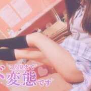 ヒメ日記 2025/11/19 12:04 投稿 せいな エンジェルハンズ