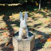 ヒメ日記 2025/11/16 23:55 投稿 るな 待ちナビ