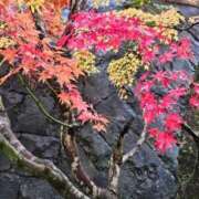 ヒメ日記 2025/11/26 09:15 投稿 るな 待ちナビ