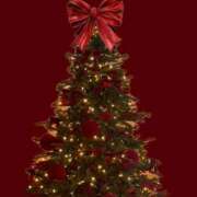 ヒメ日記 2025/12/25 07:52 投稿 ジュリア 元祖神戸Ｍ性感～Ｍ・ｉｎｇ～