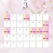 ヒメ日記 2026/03/04 18:02 投稿 ジュリア 元祖神戸Ｍ性感～Ｍ・ｉｎｇ～