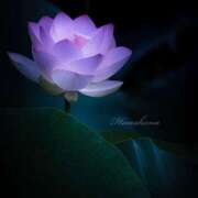 ヒメ日記 2025/11/11 21:10 投稿 らく プリモ PRIMO