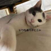 ヒメ日記 2026/05/05 09:49 投稿 マーチン 鶯谷デッドボール