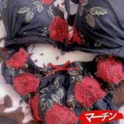 ヒメ日記 2026/06/12 15:04 投稿 マーチン 鶯谷デッドボール