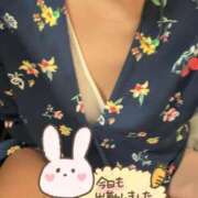 せら 出勤♪ 五反田人妻ヒットパレード（シンデレラグループ）