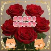 ヒメ日記 2025/11/13 15:25 投稿 ひなみ ファッションヘルス カリスマ