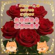 ヒメ日記 2025/11/14 00:29 投稿 ひなみ ファッションヘルス カリスマ