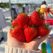 ヒメ日記 2026/02/25 10:08 投稿 れお ごほうびSPA名古屋店