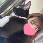 ヒメ日記 2026/03/11 10:08 投稿 れお ごほうびSPA名古屋店