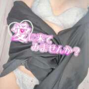 ヒメ日記 2025/11/15 14:48 投稿 せしる 兵庫加東小野ちゃんこ