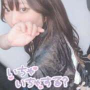 せしる 待ってるね? 兵庫加東小野ちゃんこ