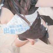 ヒメ日記 2025/12/13 12:29 投稿 せしる 兵庫加東小野ちゃんこ