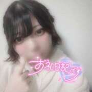 ヒメ日記 2025/12/16 13:57 投稿 せしる 兵庫加東小野ちゃんこ