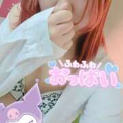 ヒメ日記 2025/12/18 07:14 投稿 せしる 兵庫加東小野ちゃんこ