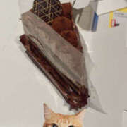 ヒメ日記 2026/01/11 17:35 投稿 えり 兵庫加東小野ちゃんこ