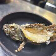 ヒメ日記 2025/11/20 15:41 投稿 あるの　『新人割DEEP対応』 今ドキ マットMAX