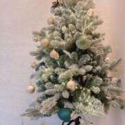 ヒメ日記 2025/12/04 09:56 投稿 れいな(新人割12/3まで) ニュー不夜城