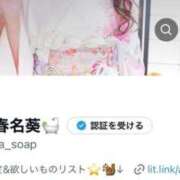 春名あおい 🎀🆕Xアカウント🎀 コウテイ