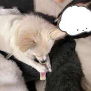 ヒメ日記 2026/01/07 22:14 投稿 ひびき★坂道系イチャ好きJD★ 渋谷S級素人清楚系デリヘル chloe