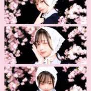 ヒメ日記 2026/04/06 13:48 投稿 てぃな ラブ・アンド・ラブ