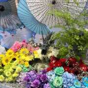 ヒメ日記 2026/08/03 08:46 投稿 てぃな ラブ・アンド・ラブ