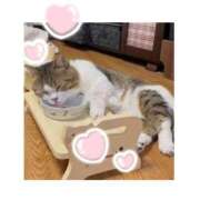 ヒメ日記 2026/01/18 22:14 投稿 れいこ 熟女の風俗最終章 錦糸町店