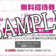 ヒメ日記 2025/11/13 20:18 投稿 えりか Salon du M-えっちなお姉さんのM性感デリバリー-五反田店