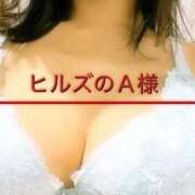 ヒメ日記 2025/12/29 14:40 投稿 えりか Salon du M-えっちなお姉さんのM性感デリバリー-五反田店