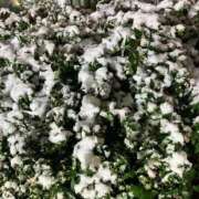 ヒメ日記 2026/02/08 05:38 投稿 えりか Salon du M-えっちなお姉さんのM性感デリバリー-五反田店