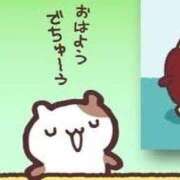 ヒメ日記 2026/06/30 06:16 投稿 ひなみ ラブ・アンド・ラブ