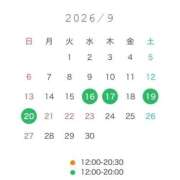 ヒメ日記 2026/09/09 16:43 投稿 品川みや THE痴漢電車.com