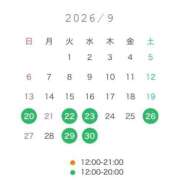 ヒメ日記 2026/09/19 15:53 投稿 品川みや THE痴漢電車.com