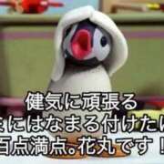 ヒメ日記 2026/04/17 08:38 投稿 美亜みや 全裸美女からのカゲキな誘惑