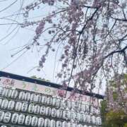 ヒメ日記 2026/03/28 18:29 投稿 りこ S級美女専門　ロイヤルリング