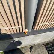 ヒメ日記 2025/12/28 13:08 投稿 ななし（あああ） わちゃわちゃ密着リアルフルーちゅ西船橋